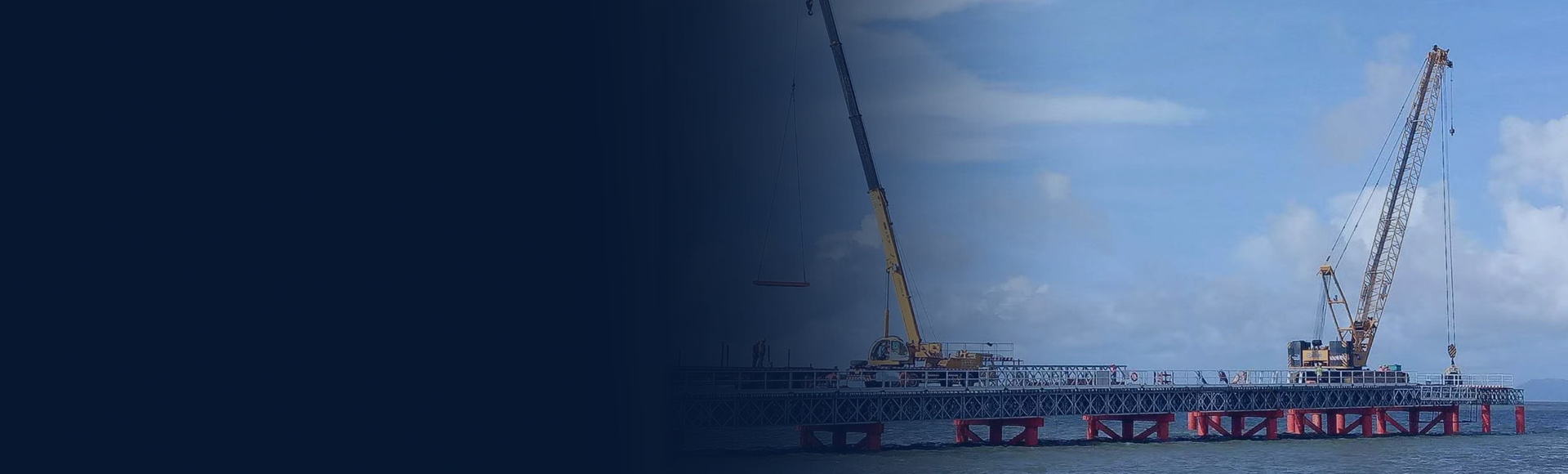 关于桃色TV视频